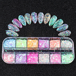 2 шт. 2 стиля 12-сетчатое украшение для ногтей из ПЭТ&nbsp;MRMJ-SP0001-33