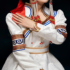 6м плетеных полиэфирных лент&nbsp;OCOR-LP0001-68