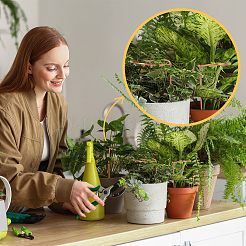 12 pièces 3 styles de support de croissance des plantes en cuivre&nbsp;DIY-NB00004