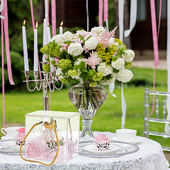 Прозрачная подарочная коробка из пластика для животных&nbsp;LS-OBOX-WH0016-05A