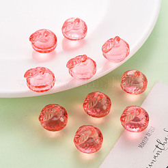 Прозрачные акриловые подвески&nbsp;TACR-T024-05B-910