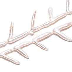 Натуральный жемчуг в стиле барокко PEAR-N021-16A