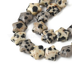 Нити бусин из натуральной далматинской яшмы в форме звезды G-Z080-A08