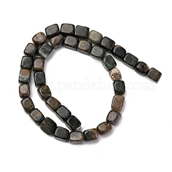 Природного биотита нитей бисера G-B155-D05