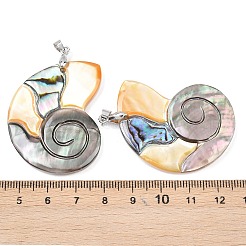 Подвески из натуральных ракушек пауа&nbsp;KK-C135-08A