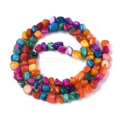 Нити бусин из натуральных пресноводных ракушек&nbsp;SHEL-N037-04B