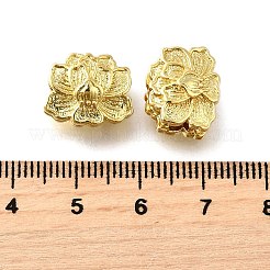 Латунные бусины&nbsp;KK-XCP0001-96G