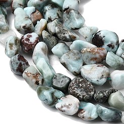 Природные ларимар бисер нитей G-P601-A21-02