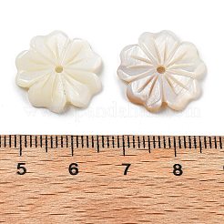 Бусины из натуральных пресноводных ракушек SHEL-Z002-02