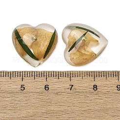 Transparente Harzcabochons&nbsp;RESI-K033-10