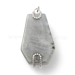 Природные подвески лабрадорита&nbsp;G-G870-09P-01