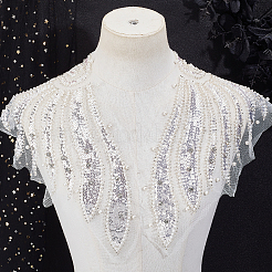 2 шт. 2 стиля полиэстеровой вышивки пришивные аппликации&nbsp;DIY-CY0001-02A-01