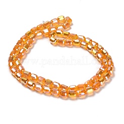Perles en verre electroplate&nbsp;X1-EGLA-D030-19D