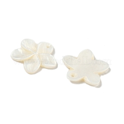 Резные подвески из натуральных пресноводных ракушек SHEL-K006-59