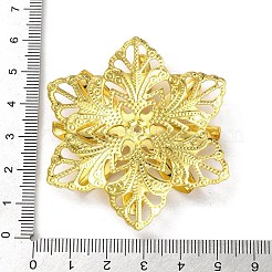 Железный шарик крышки IFIN-C060-10G