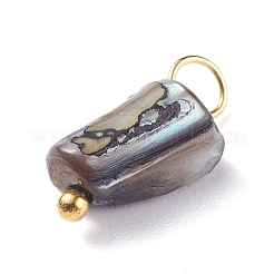 Подвески из натуральных окрашенных ракушек&nbsp;PALLOY-JF01339-04