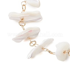 Cavigliere con perline di conchiglia di trochide naturale&nbsp;AJEW-AN00618