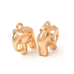 Pendentif en alliage &nbsp;AL-CBA3036-05G