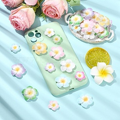 60 шт. 2 кабошона из непрозрачной смолы в форме цветка плюмерии&nbsp;CRES-YW0002-60