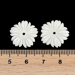 Природные подвески оболочки пресноводных SHEL-K006-43