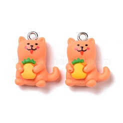 Подвески из непрозрачной смолы RESI-G032-B03