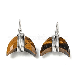 Подвески из медной проволоки из натурального смешанного камня&nbsp;G-B079-01P