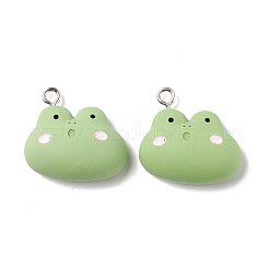 Подвески из смолы&nbsp;RESI-K018-05