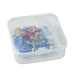 30шт 6 стиля ручной работы бусины лэмпворк LAMP-FS0001-12