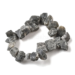 Природные лабрадорита бисер нитей G-S386-B04