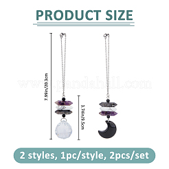 2 шт. 2 стиля натуральный ларвикит и хаулит и аметист двухконечный кулон украшение&nbsp;HJEW-FH00213