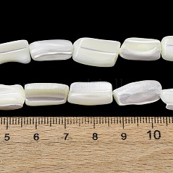 Natürliche Trochidschale / Trochusschalenperlenstränge&nbsp;SH-CBA2978-20A