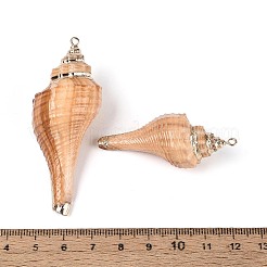 Colgantes grandes de concha de caracola natural galvanizada&nbsp;SSHEL-T018-06