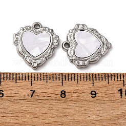 Подвески из нержавеющей стали 304 из смолы STAS-P406-15F-P