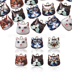 60шт 6 цвета подвески из цинкового сплава с эмалью&nbsp;ENAM-CJ0001-77