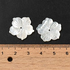 Натуральные белые бусины из ракушек SHEL-M021-08C