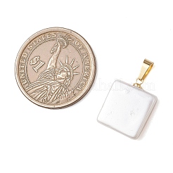 Оболочки жемчужина подвески&nbsp;PALLOY-JF05052