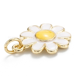 Латунь эмаль подвески&nbsp;KK-M220-04G-B