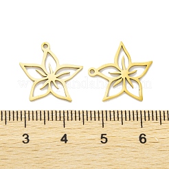 5 pendentif en acier inoxydable 201&nbsp;STAS-M056-08G
