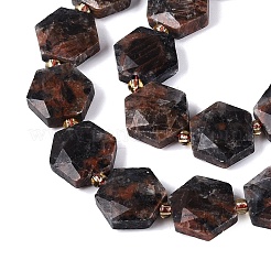 Perline labradorite naturale fili&nbsp;G-N368-01A-20
