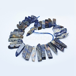 Chapelets de perles en sodalite naturelle&nbsp;G-L551B-01