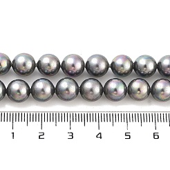 Shell-Perle Perle Stränge&nbsp;BSHE-L025-07-8mm