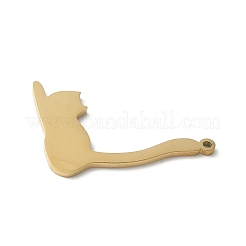 Pendentifs en acier inoxydable 304&nbsp;STAS-E501-11G
