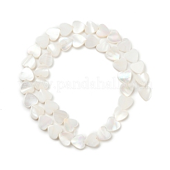 Нити бусин из натуральных пресноводных ракушек SHEL-K010-04