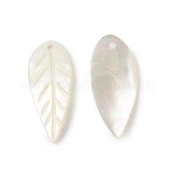 Подвески из натуральной морской раковины SSHEL-T012-12