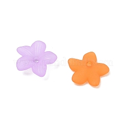 Coupelles 5-pétale en acrylique transparent&nbsp;FACR-T001-06A