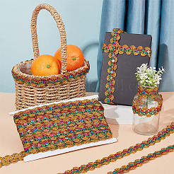 Плетеная кружевная лента из полиэстера OCOR-WH0046-26