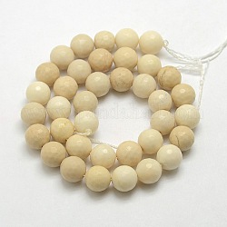 Pierres précieuses naturelles perles rondes de bois pétrifié brins, teinte, facette, 10mm, Trou: 1mm, Environ 38 pcs/chapelet, 15.5 pouce