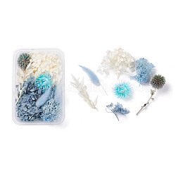 Fiori secchi, accessori per la produzione di sapone per candele fai da te, con scatola rettangolare in plastica, colore misto, 2.4~13x1.4~10.8cm