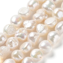 Fili di perle di perle d'acqua dolce coltivate naturali, due lati lucidati, grado 4 un, colore conchiglia, 8~11x10~11x7~9mm, Foro: 0.7 mm, circa 38pcs/filo, 14.96'' (38~39 cm)