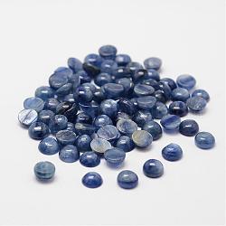 ドーム天然藍晶石/シアン石/ジステンカボション  6x3mm